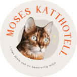 Moses Katthotell logga