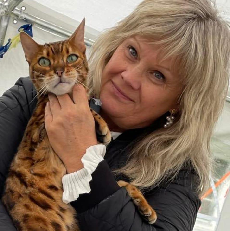 Bitte och katten Moses