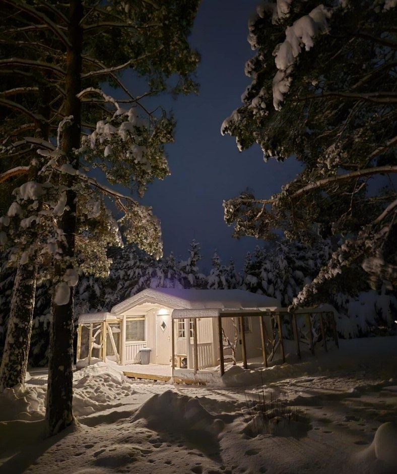 moses katthotell vinter