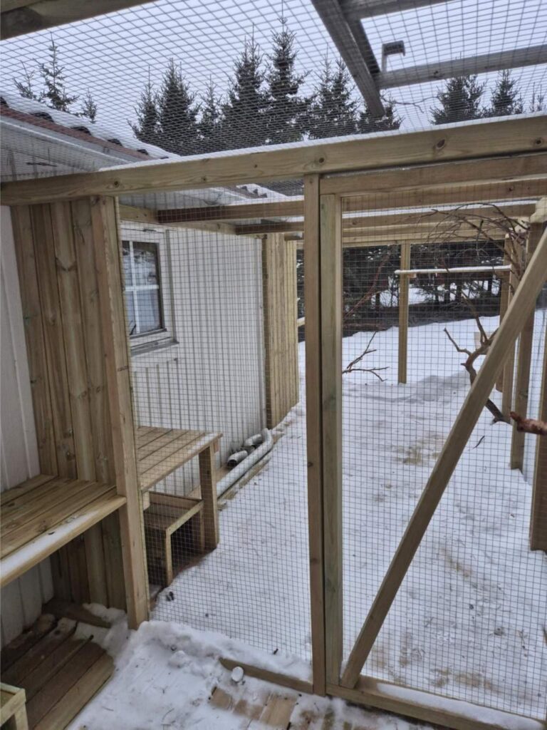 moses katthotell utanför nyköping 1