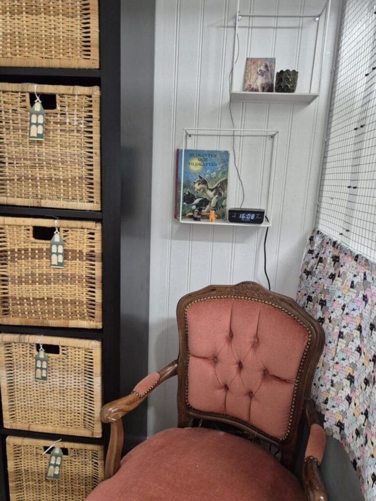 moses katthotell utanför nyköping 2