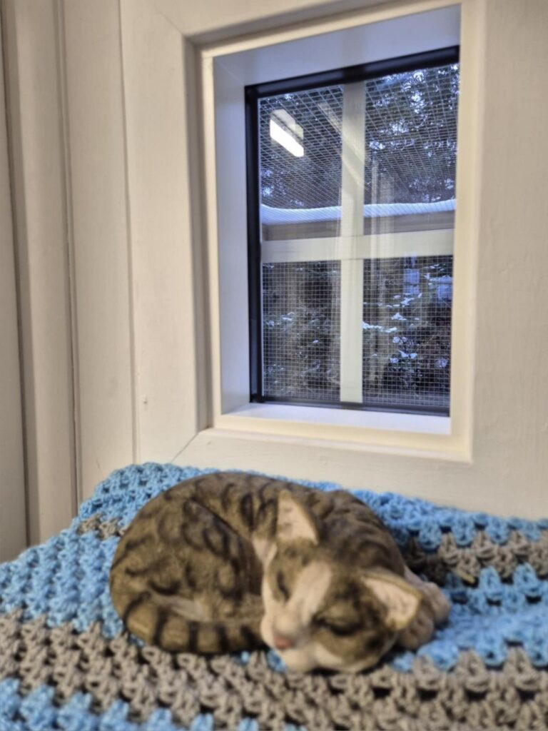 moses katthotell utanför nyköping 5