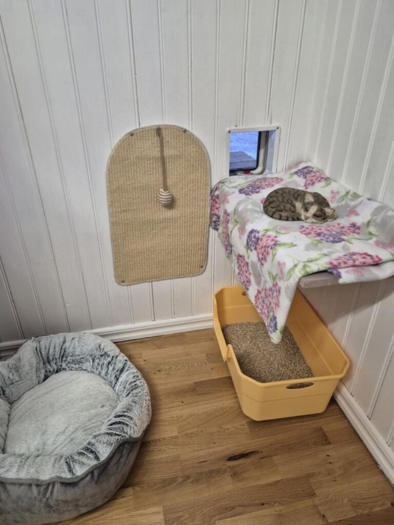 moses katthotell utanför nyköping box inredning 6