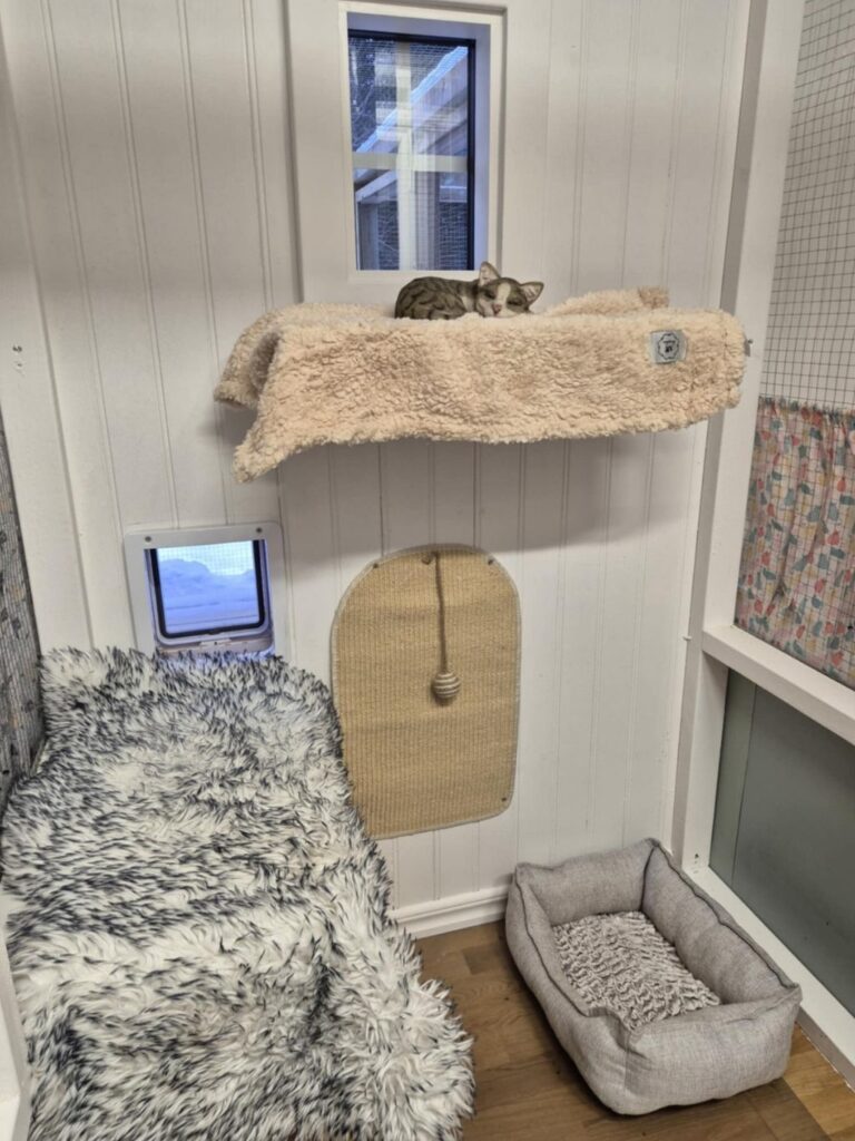 moses katthotell utanför nyköping box inredning kattlucka 7