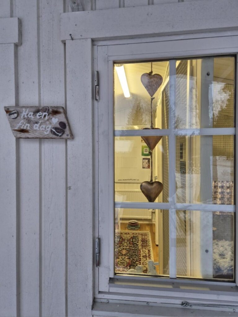 moses katthotell utanför nyköping fönster 4