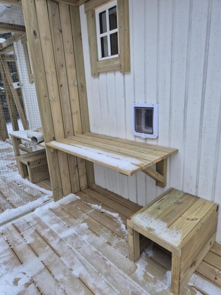 moses katthotell utanför nyköping uteplats kattlucka 10