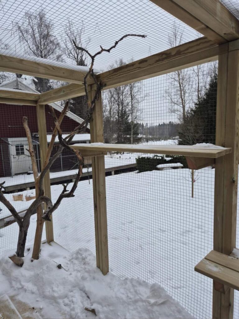 moses katthotell utanför nyköping uteplats träd 9