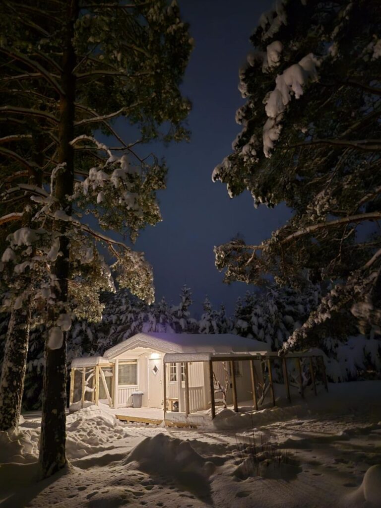 moses katthotell utanför nyköping vintertid